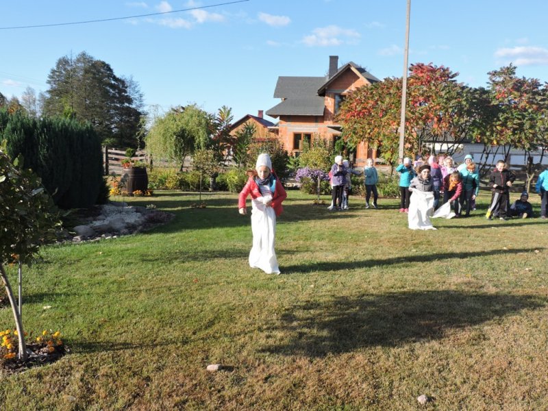 Święto pieczonego ziemniaka 2016